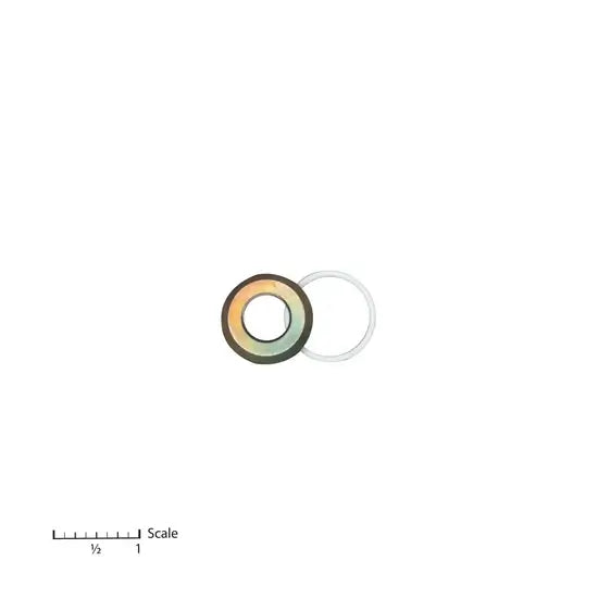 Intake Seat & O-Ring-740 / 840 /1140 - Replaces Titan 800-241