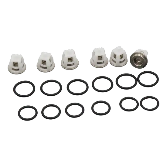 Comet 10001-01607 Valve Kit – OEM Replacement for LW, ZW, FW, HW & SW Pressure Washer Pumps