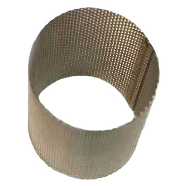 10016776 Replacement Mesh Filter – For GP ZMFIL Water Filter