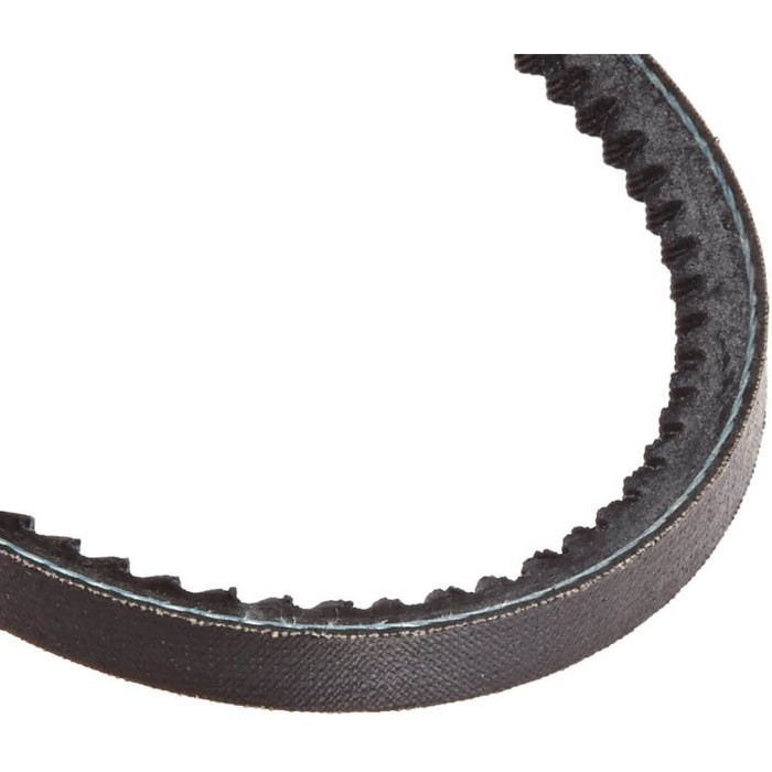 3VX355 Cogged V-Belt – 3/8" Top Width x 5/16" Thickness – OEM Replacement Part