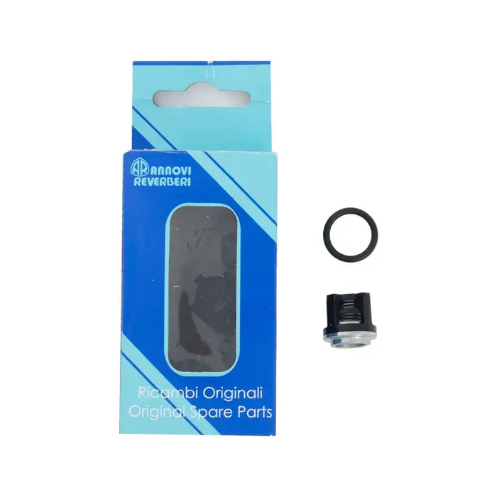 Valve Kit for RRA35G30E Pump