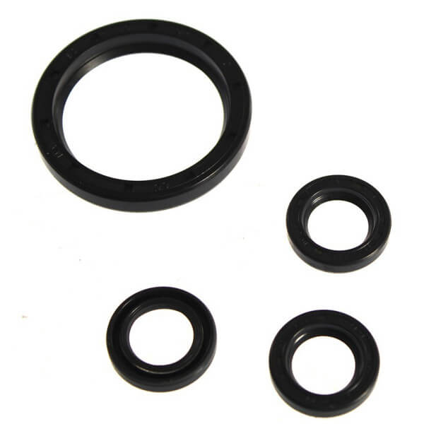 AR42474 Oil Seal Kit – Fits AR RCV Series Pumps