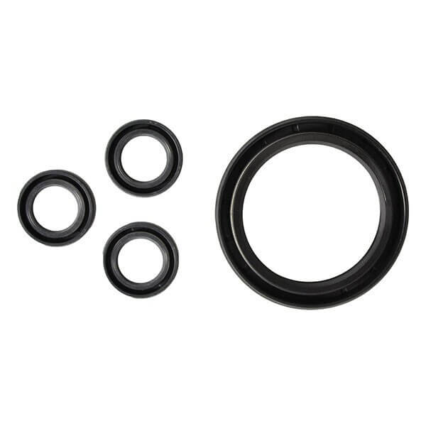 AR42555 Oil Seal Kit – Fits AR RRV Series Pumps