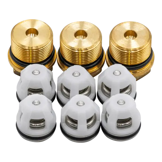 AR 42762 Check Valve Kit with Valve Caps – OEM Replacement for Pressure Washer Pumps