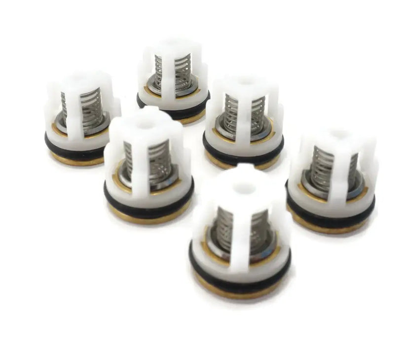 AR 2871 Check Valve Kit – OEM Replacement for SXW Pressure Washer Pumps